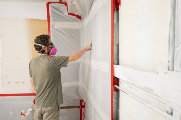 Best Crawl Space Mold Remediation  in North Plainfield, NJ